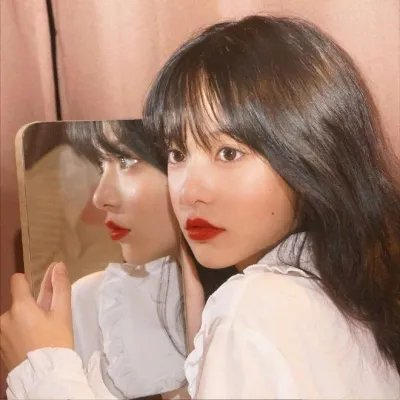 夏绿蒂的网
